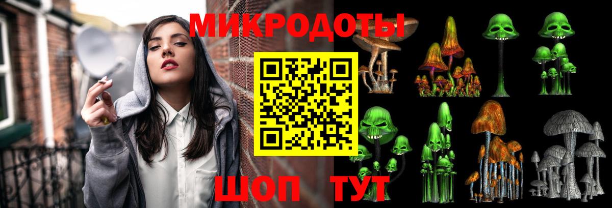 Псилоцибиновые грибы Cubensis Тюмень