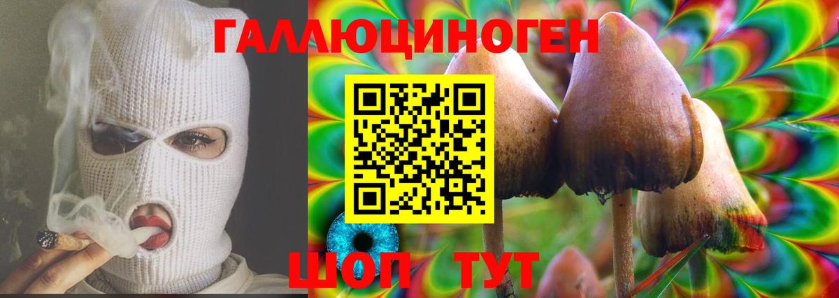 Тюмень  Псилоцибиновые грибы GOLDEN TEACHER  Вход с VPN 
